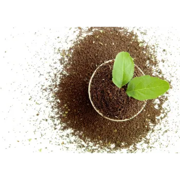 Herbal Dried Tulsi Leaves
